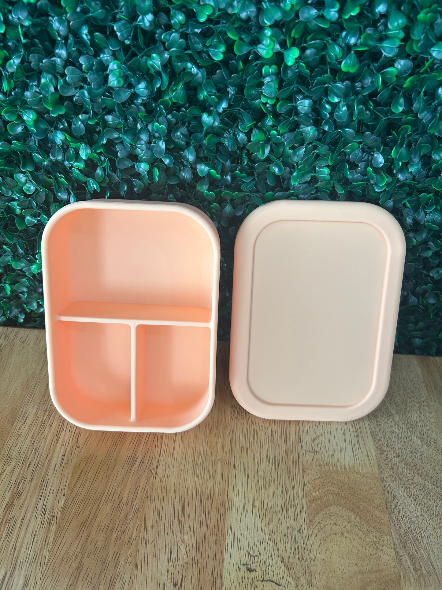Silicone Bento Box