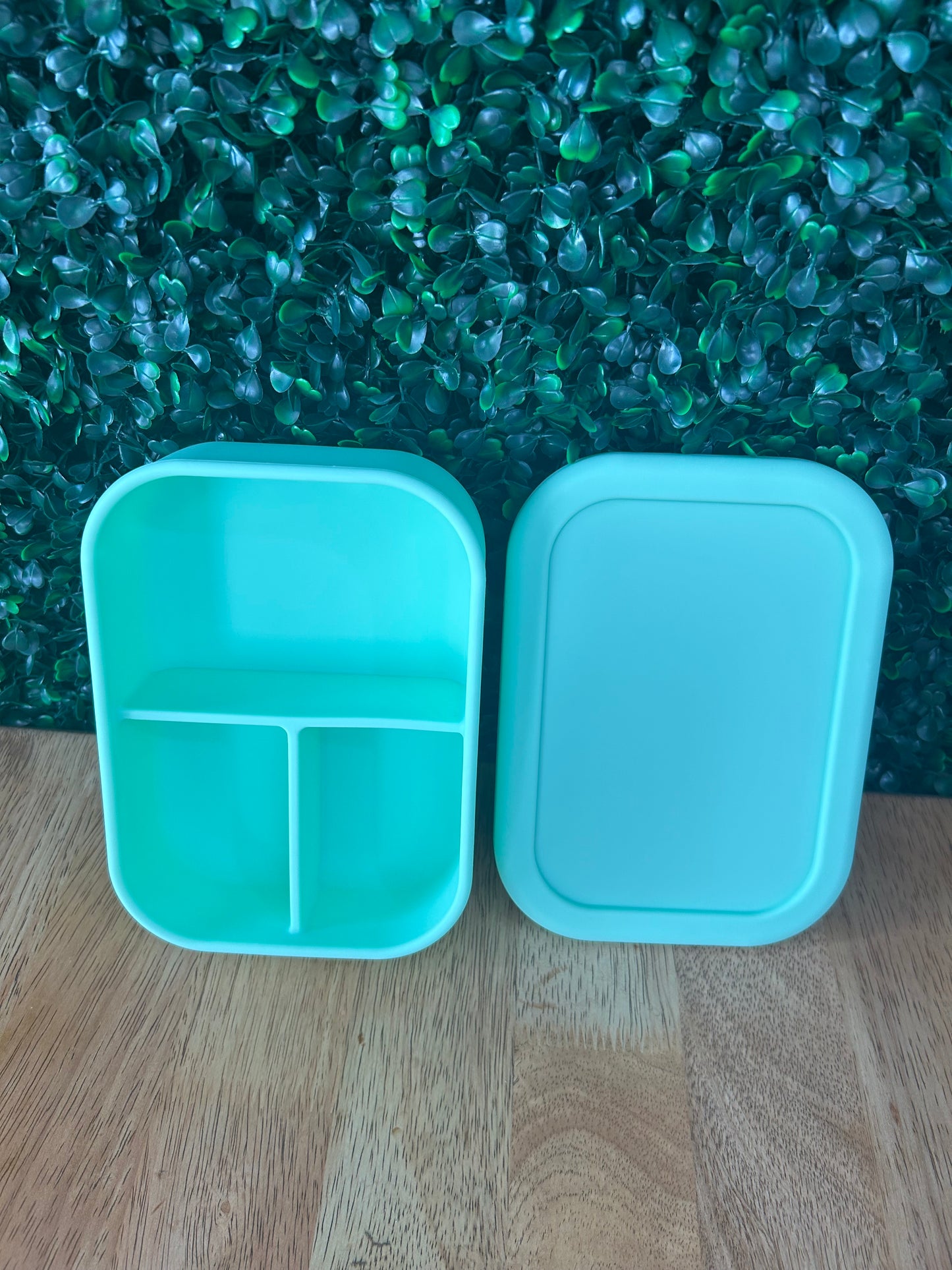 Silicone Bento Box