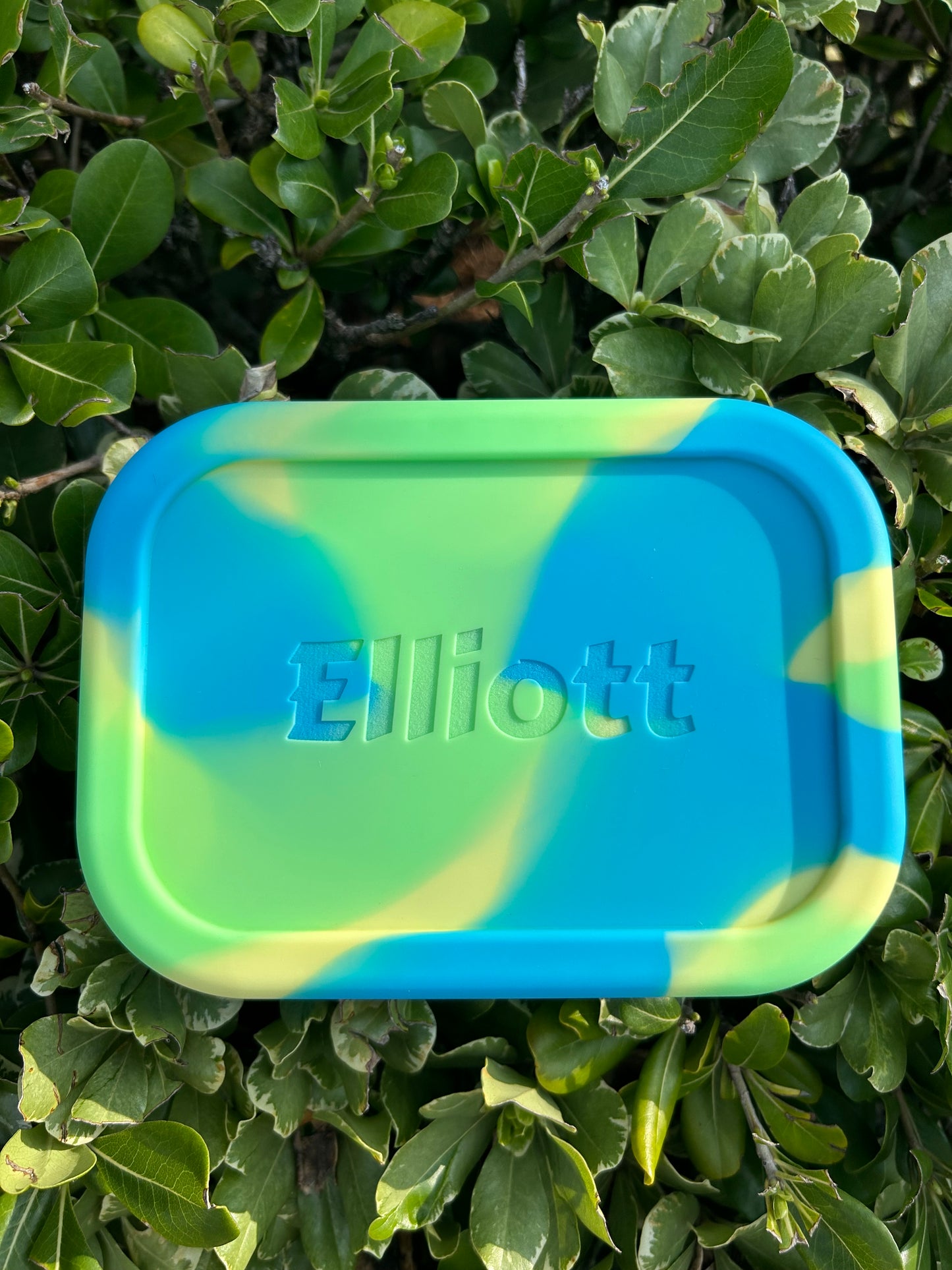 Personalized Bento Lunch Box