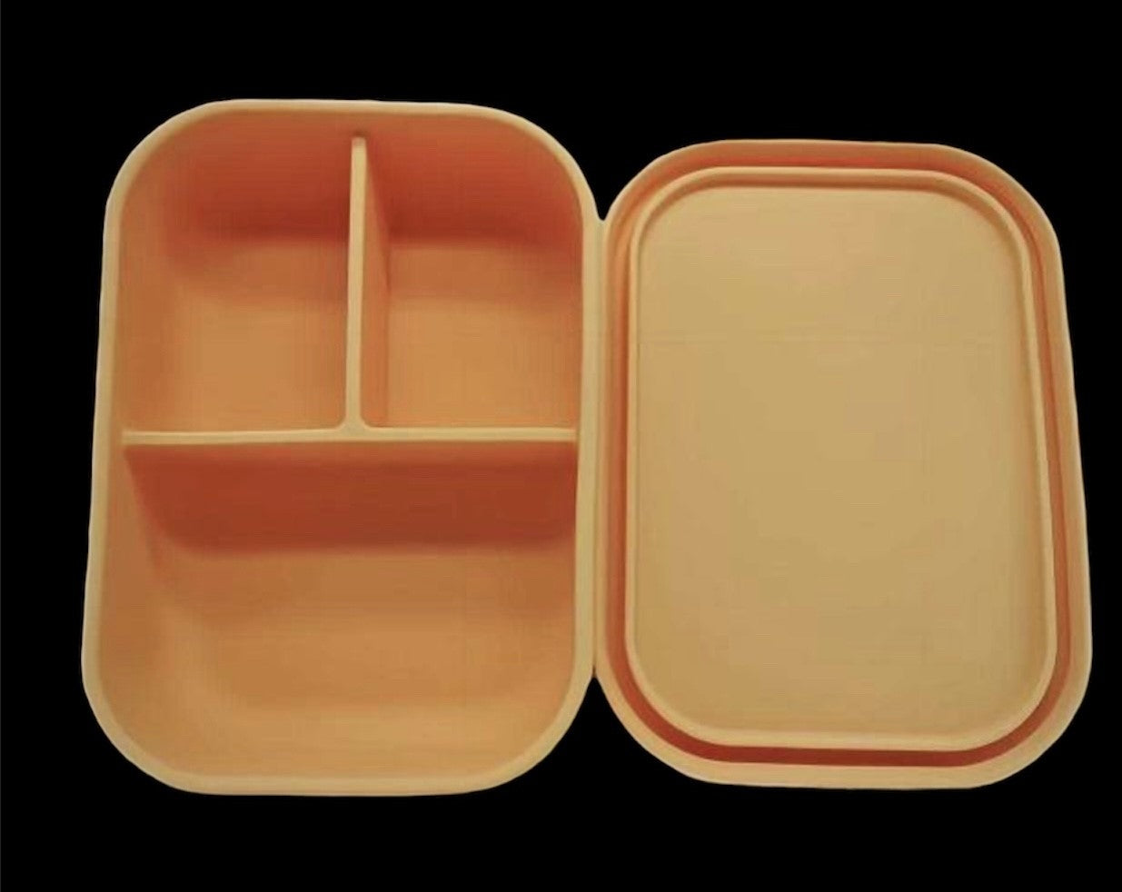 Silicone Bento Box – Dreamroo